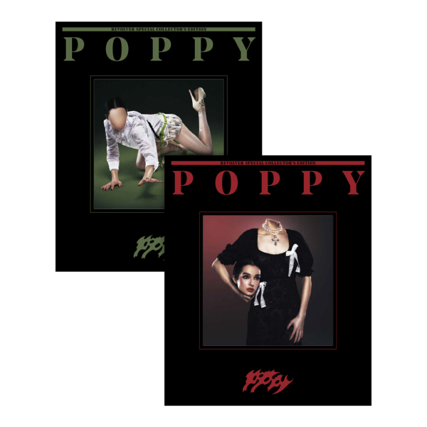 POPPY x REVOLVER SPECIAL ARTIST OF THE YEAR MAGAZINE IN SLIPCASE BUNDLE (Red & Green Editions) Fashion - Image 4