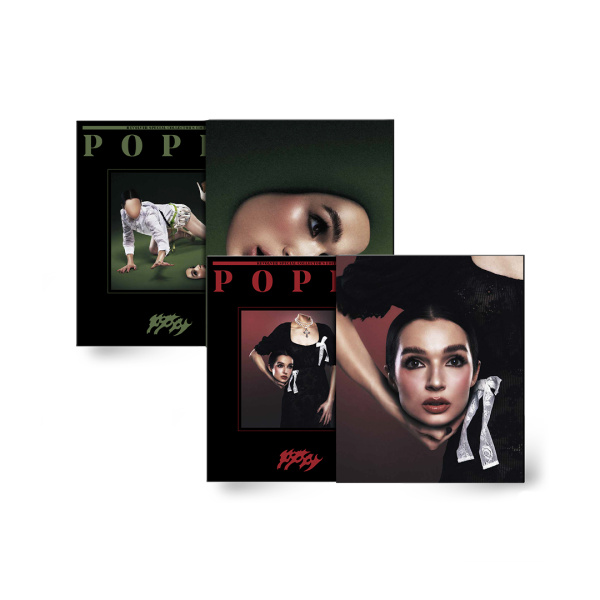 POPPY x REVOLVER SPECIAL ARTIST OF THE YEAR MAGAZINE IN SLIPCASE For Cheap