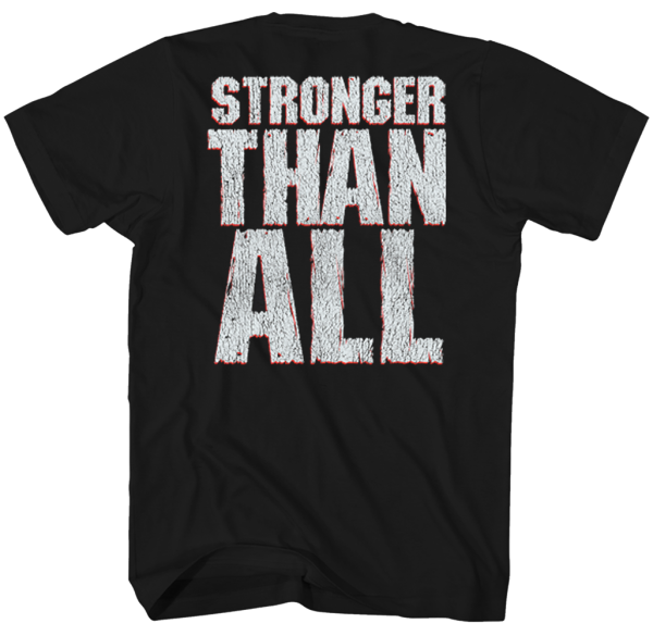 PANTERA  VULGAR DISPLAY OF POWER  T-SHIRT Discount - Image 2
