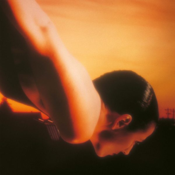 PORCUPINE TREE  ON THE SUNDAY OF LIFE  2LP Cheap