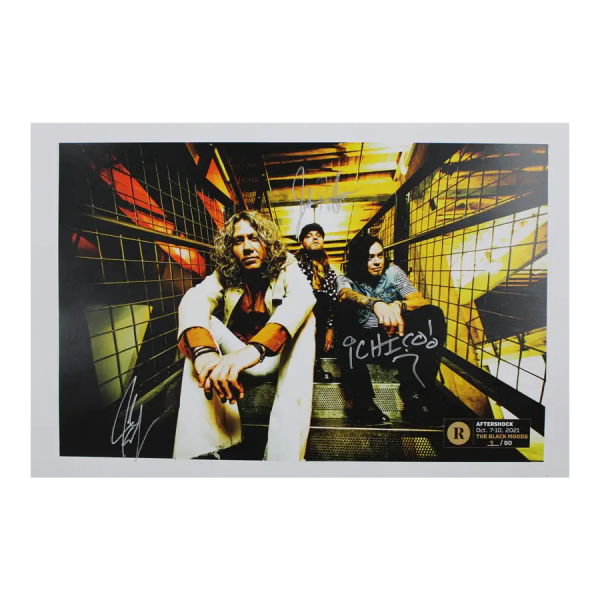 THE BLACK MOODS X REVOLVER AFTERSHOCK- SIGNED FESTIVAL POSTER Sale